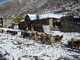 Foto: Annapurnas grēda Himalajos